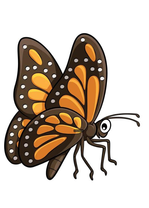 butterfly cartoon drawing (6)