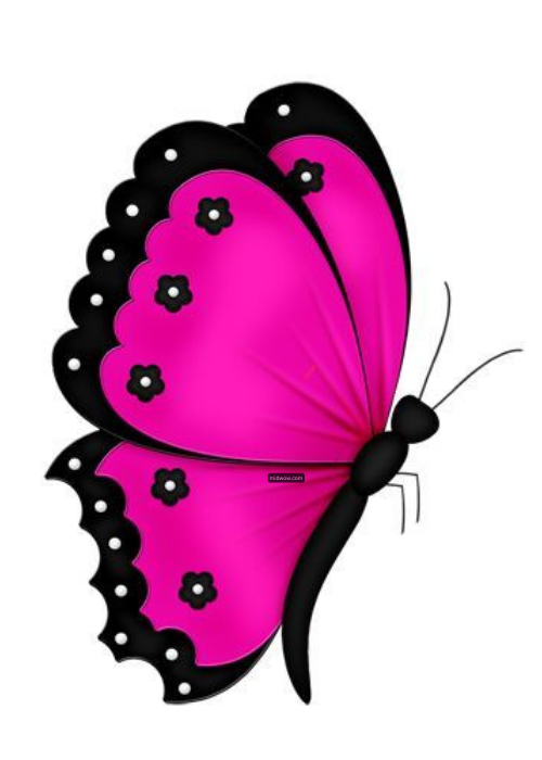 butterfly drawing cartoon (1)