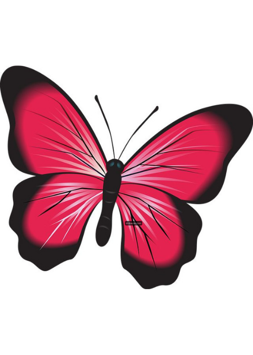 cartoon butterfly pictures (1)