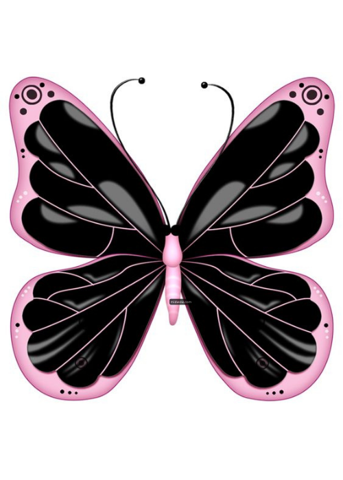 cartoon butterfly pictures (4)