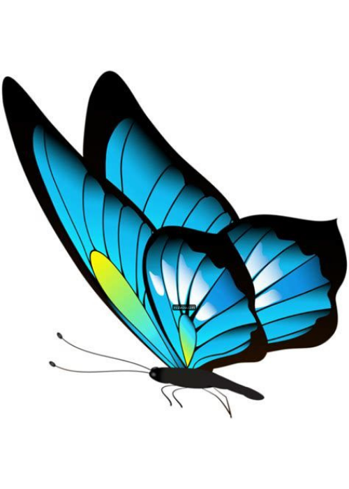 cartoon butterfly pictures (7)