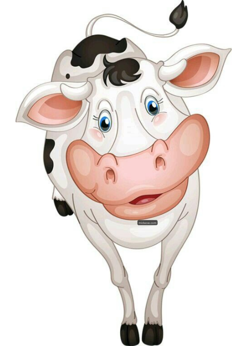 cow cartoon png (3)