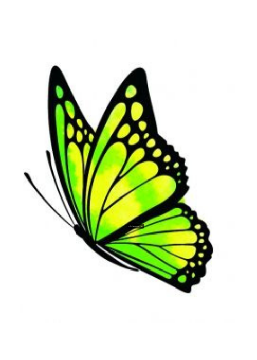 cute butterfly cartoon images (2)