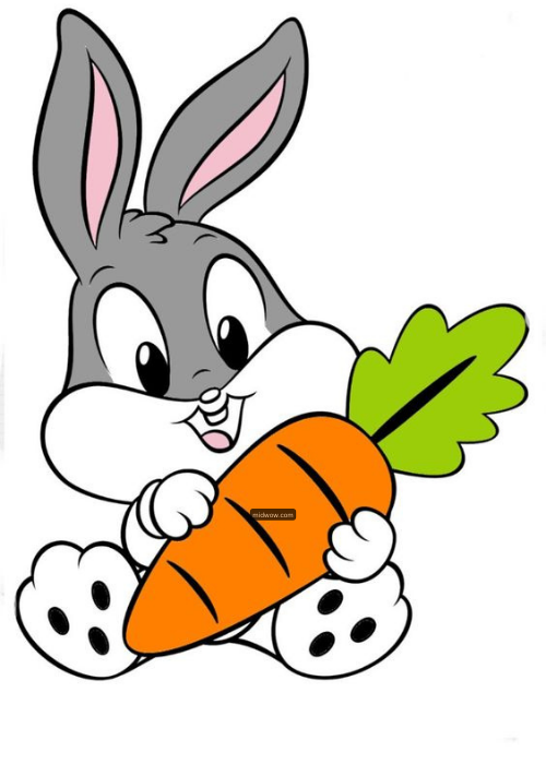 rabbit cartoon images drawing (5)