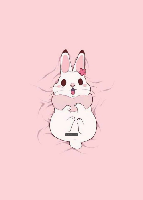 rabbit pictures cartoon (2)