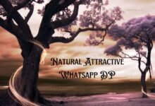 Natural Attractive Whatsapp DP