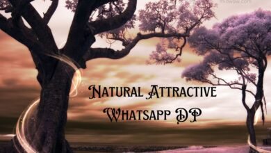Natural Attractive Whatsapp DP