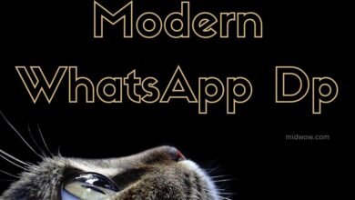 Modern Whatsapp Dp