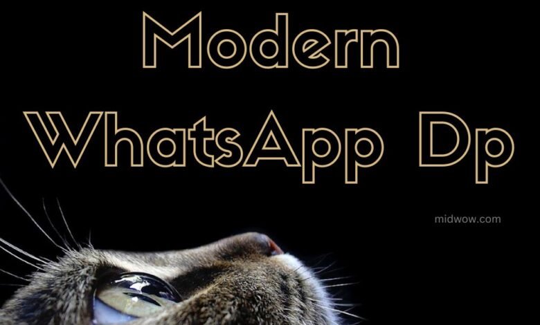 Modern Whatsapp Dp