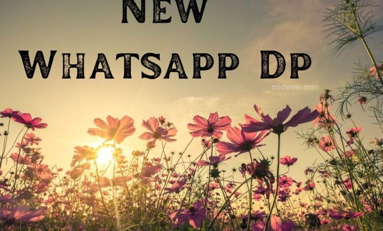 New Whatsapp Dp