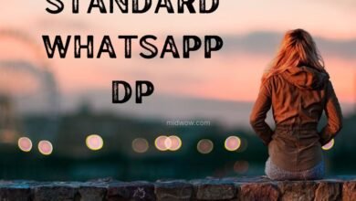 Standard Whatsapp Dp
