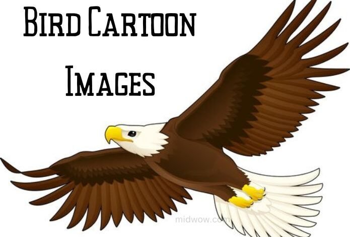Bird Cartoon Images