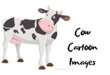 Cow Cartoon Images