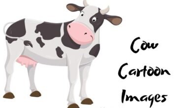Cow Cartoon Images