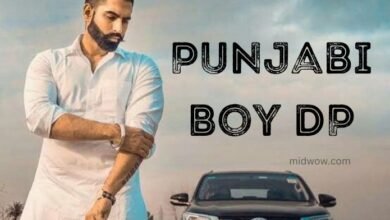Punjabi Boy DP