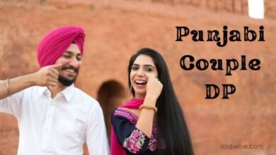 Punjabi Couple DP