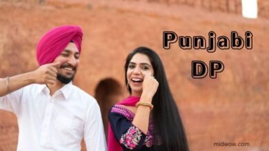 Punjabi DP