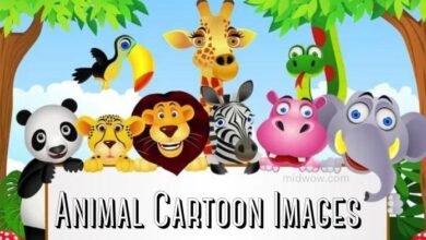 Animal Cartoon Images