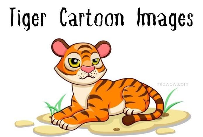 Tiger Cartoon Images
